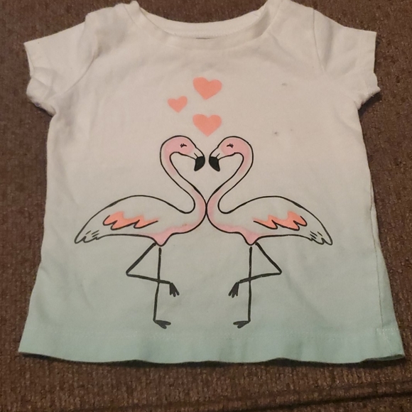 Bundle of 13 Baby Girl clothes size 6M - Picture 10 of 15